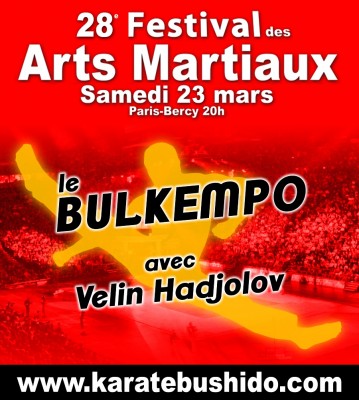 Bulkempo in Paris-Bercy Festival 2013