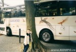 Seicho-No-Ie Japonia , 2003