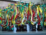 Junior World Championship Kempo / Shidokan, Japan 2008