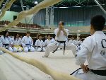 Junior World Championship Kempo / Shidokan, Japan 2008