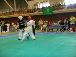 Junior World Championship Kempo / Shidokan, Japan 2008