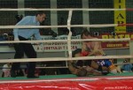 Champions Challenge 8 / Tulcea, 2005