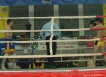 Champions Challenge 8 / Tulcea, 2005
