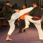 Champions Challenge 13 / Lyon-France, Mar. 2007