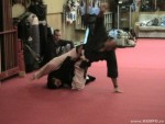 Kempo-Romania, USA , Mar. 2006