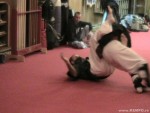 Kempo-Romania, USA , Mar. 2006