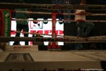 Kempo SuperKombat 4