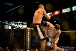 Kempo Champion hits again!