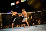 Kempo Champion hits again!
