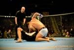 Kempo Champion hits again!