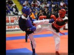 The 9th IKF World Kempo Championships, 2012