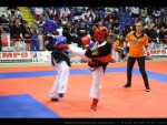 The 9th IKF World Kempo Championships, 2012
