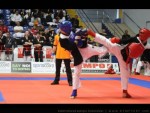 The 9th IKF World Kempo Championships, 2012