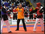 The 9th IKF World Kempo Championships, 2012