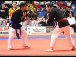 The 9th IKF World Kempo Championships, 2012