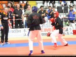 The 9th IKF World Kempo Championships, 2012