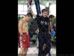 World MMA Championship, Estonia