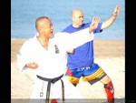 International Kempo & Shidokan  Seminar – Romania, 2012