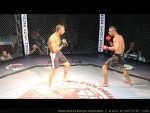 The Battle For Ruse, 2012