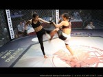The Battle For Ruse, 2012