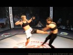 The Battle For Ruse, 2012