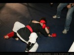 The 6th IKF Masters Kenpo France, 2013