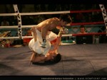 The 6th IKF Masters Kenpo France, 2013
