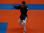 WKC 2013