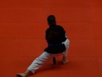 WKC 2013