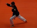 WKC 2013