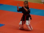 WKC 2013