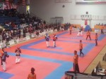 WKC 2013