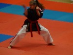 WKC 2013
