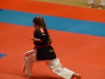 WKC 2013