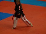 WKC 2013