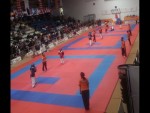 WKC 2013