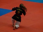 WKC 2013