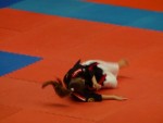 WKC 2013