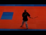 WKC 2013