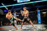 George Pacurariu, hits again in MMA, 2013