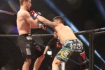 George Pacurariu, hits again in MMA, 2013