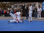 RUSSIA - Kempo MMA, 2013