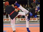 World Kempo Championships, Budapest-Hungary, 2014