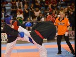 World Kempo Championships, Budapest-Hungary, 2014