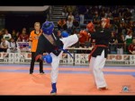 World Kempo Championships, Budapest-Hungary, 2014