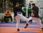 World Kempo Championships, Budapest-Hungary, 2014