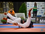 World Kempo Championships, Budapest-Hungary, 2014