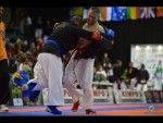 World Kempo Championships, Budapest-Hungary, 2014