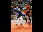 World Kempo Championships, Budapest-Hungary, 2014