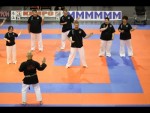 World Kempo Championships, Budapest-Hungary, 2014